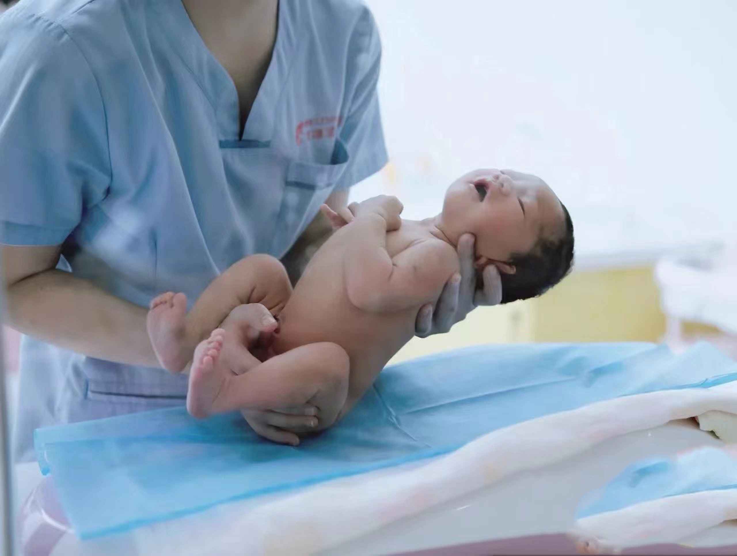 北京在哪儿找助孕妈妈呢,代妈人民医院试管费用收取标准,湖北代妈试管婴儿费