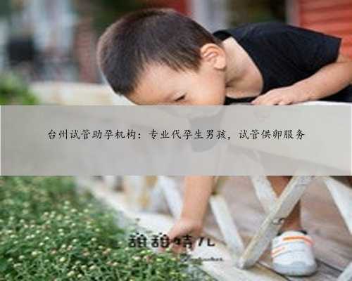 台州试管助孕机构：专业代孕生男孩，试管供卵服务